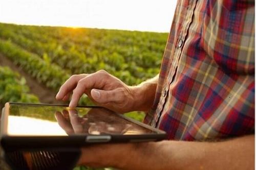 مدیریت بازار کشاورزی به صورت دیجیتال ممکن شد