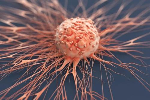 راهکار جدید محققان ایرانی برای درمان مؤثر تومورهای سرطانی