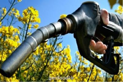 2 پروژه ملی برای توسعه تولید سوخت زیستی در کشور اجرائی می شود