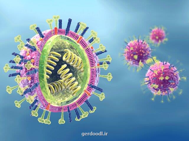 آنزیم های کارآگاه محل اختفای ویروس ها را پیدا می کنند!