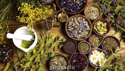 20 طرح برای هوشمندسازی ابزار تولید گیاهان دارویی اجرائی شد