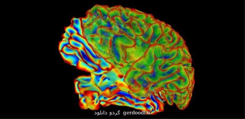 کشف غیرمنتظره علت پیشرفت آلزایمر در مغز