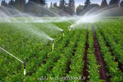 فعالیت ۲۶۵ شرکت دانش بنیان در حوزه کشاورزی
