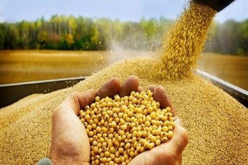 صادرات تجهیزات کشاورزی مربوط به خوراک دام و طیور به 5 کشور