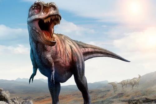 دایناسورها احتمالا پیش از برخورد شهاب سنگ منقرض شده اند