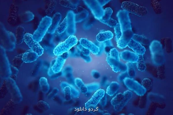 تحولی در شناسایی مولکول های زیستی با کمک گرافین