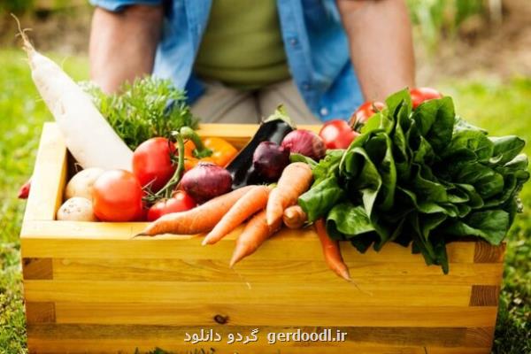 رونق بازار حوزه امنیت غذایی و سلامت با کمک فناوری های زیستی