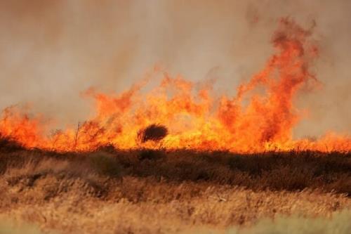 پیشبینی آتشسوزی جنگلی پیش از گسترش