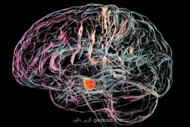 عرضه سامانه قابل حمل تشخیص پارکینسون و آلزایمر