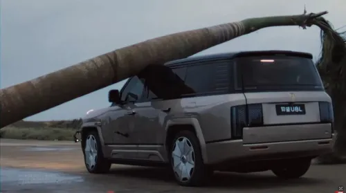 ببینید سقوط نخل غول پیکر روی خودروی چینی