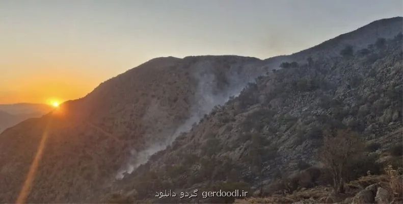 ۸ فناوری نوظهور برای کاهش ریسک حریق های جنگلی