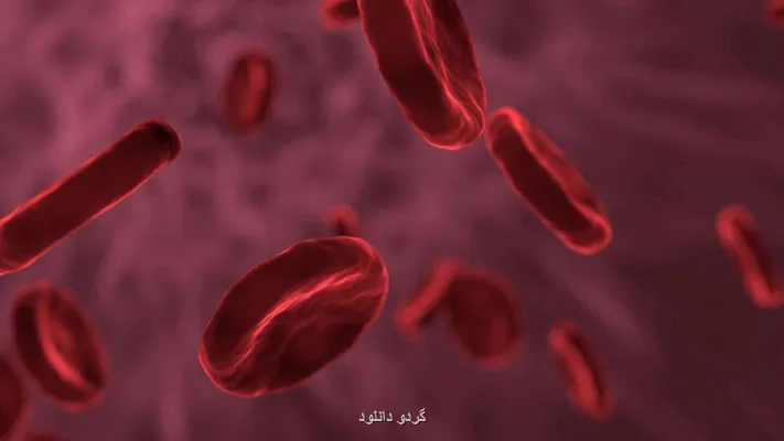 کمک به رشد ذهنی و جسمی خردسالان با مکمل آهن نانوساختار ایرانی
