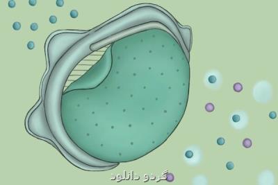 تولید ماسك هایی با قابلیت تعویض فیلتر در پارك فناوری تهران