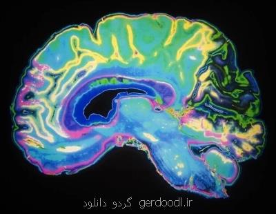 درمان بهتر آلزایمر با كمك سنسور مغزی